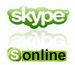 Contact us by Skype