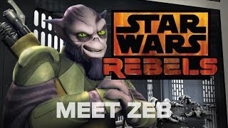 Star Wars Rebels: Meet Zeb, the Muscle