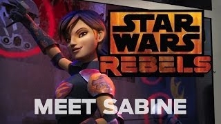 Star Wars Rebels: Meet Sabine, the Explosive Artist